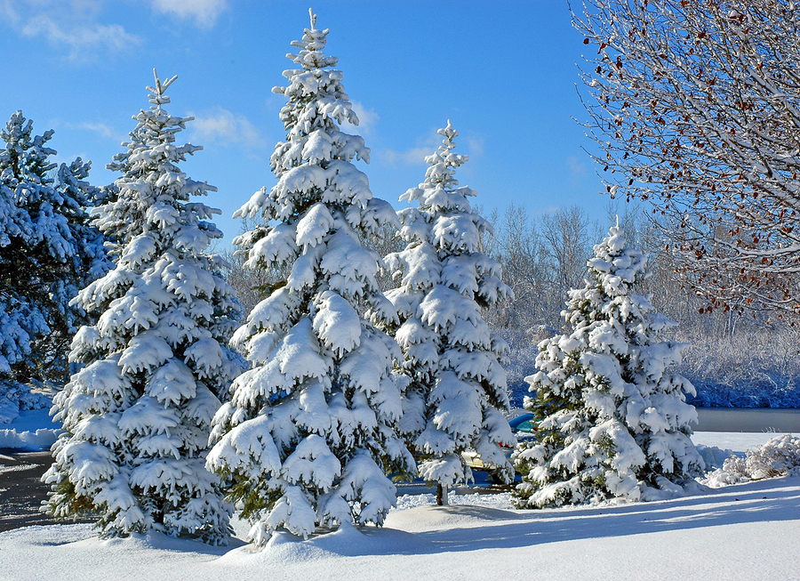 Snøsøsteren 'The Snow Sister' Navigating Grief and Joy during Holidays